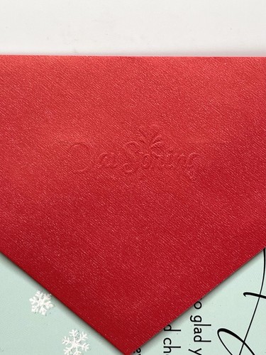 Biglietto di Natale per Moglie Regalo di Dio Cardinali Religioso GiornoSpring Card NUOVO - Foto 13 di 13