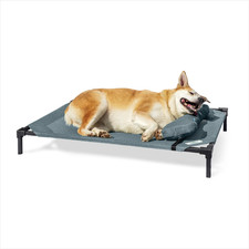 Pro Elevated Dog Bed with Heatshield Fabric   Advanced Cooling Raised Cot for Me