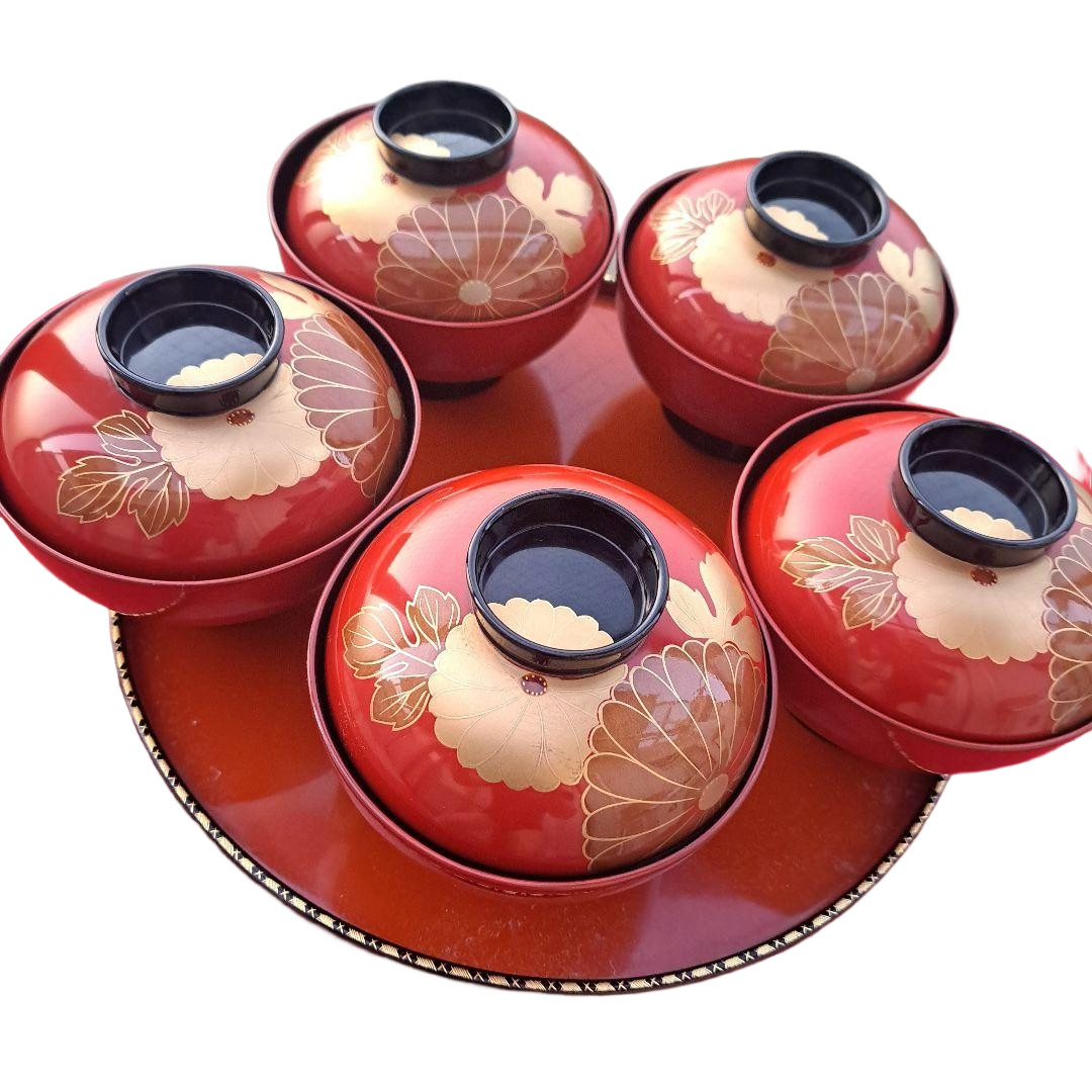 Wajima Laca Madera Natural Sopa Cuencos Juego de 5 Diámetro 472 Pulgadas para...