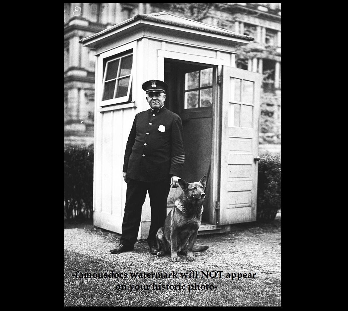 White House Guard Dog PHOTO President Hoover Belgian Police Dog KING