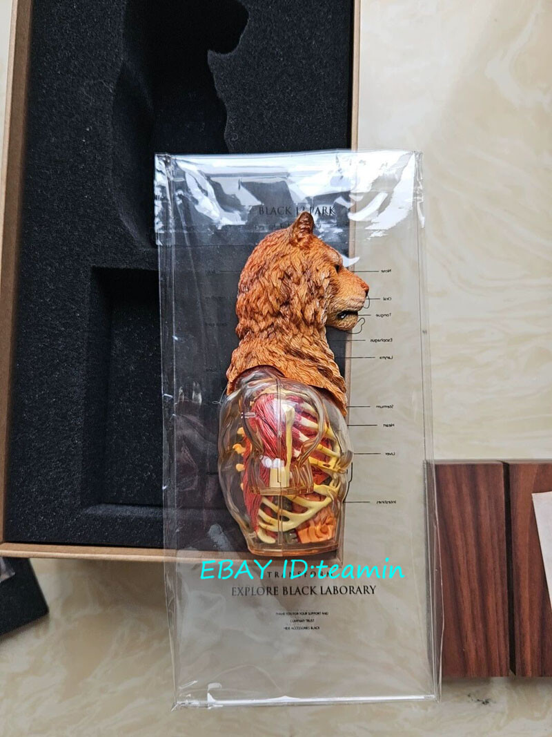 Black 13 Park Black Laborary Hidden Packs Tiger Special