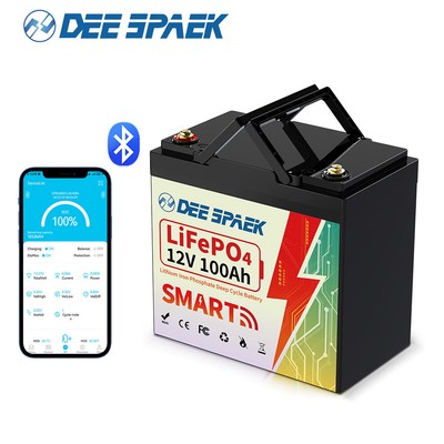 12V 100Ah LiFePO4 Lithium Battery Mini Bluetooth 8000+Cycles BMS for RV Solar