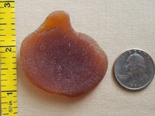 GENUINE BEACH SEA GLASS SURF TUMBLED CHOCO BROWN BOTTLE BOTTOM DAMAGE NUMBERS N1