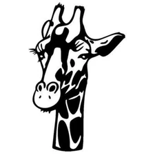 Giraffes Head Graphic Vinyl Decal Car Tumbler Laptop Tablet Notebook Window