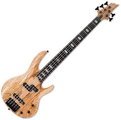 ESP LTD RB-1005SM Natural Satin PJ Typ Elektrische Basis Elektrisch aus Japan