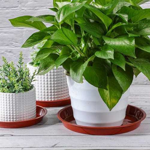 120 Pieces 6 8 10 Inch Plastic Plant Saucer Bulk Plant Trays for Pots Sturdy . - Picture 6 of 6