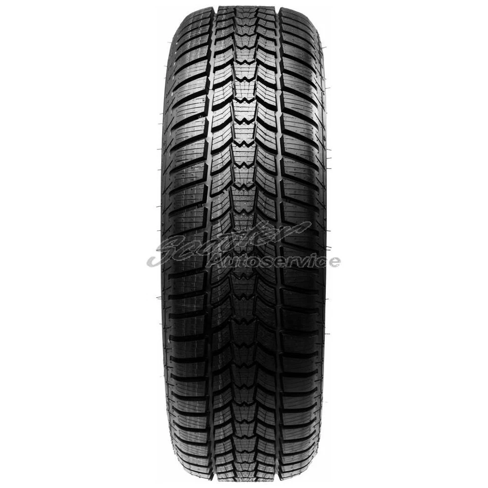 1x 205/55R16 91H Sava Winter-Reifen Eskimo HP 2 3PMSF | 83271