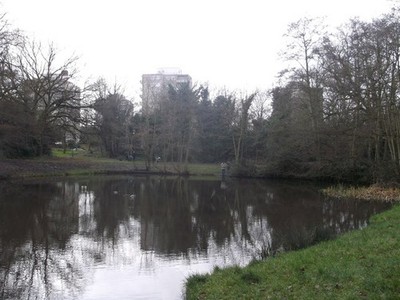 Photo A2 Scio Pond, Putney Heath (2) Small fishing pond within the heath c2012
