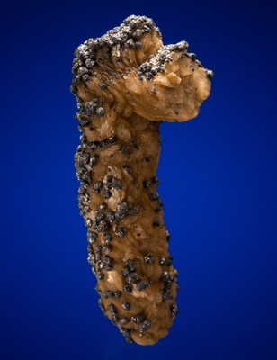 Galena on Siderite White Raven Mine, Ward, Boulder County, Colorado 1805-007