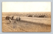 1914 RPPC Wheat Harvest Field Farmers Ford Model T Car St Paul RPO Postcard