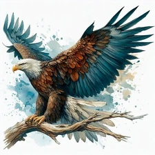 Aududon Colorful Eagle Has Landed Wall Art 16 x 20" Home Decor For Bird Lovers