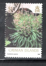 BRITISH CAYMAN ISLANDS  STAMPS  USED     LOT 1295CC