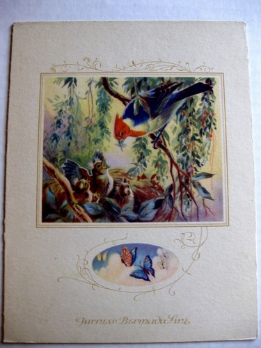 Schönes Kreuzfahrtschiff Menü 1952 mit Mama Vogelfütterung Babys - Bild 1 von 3