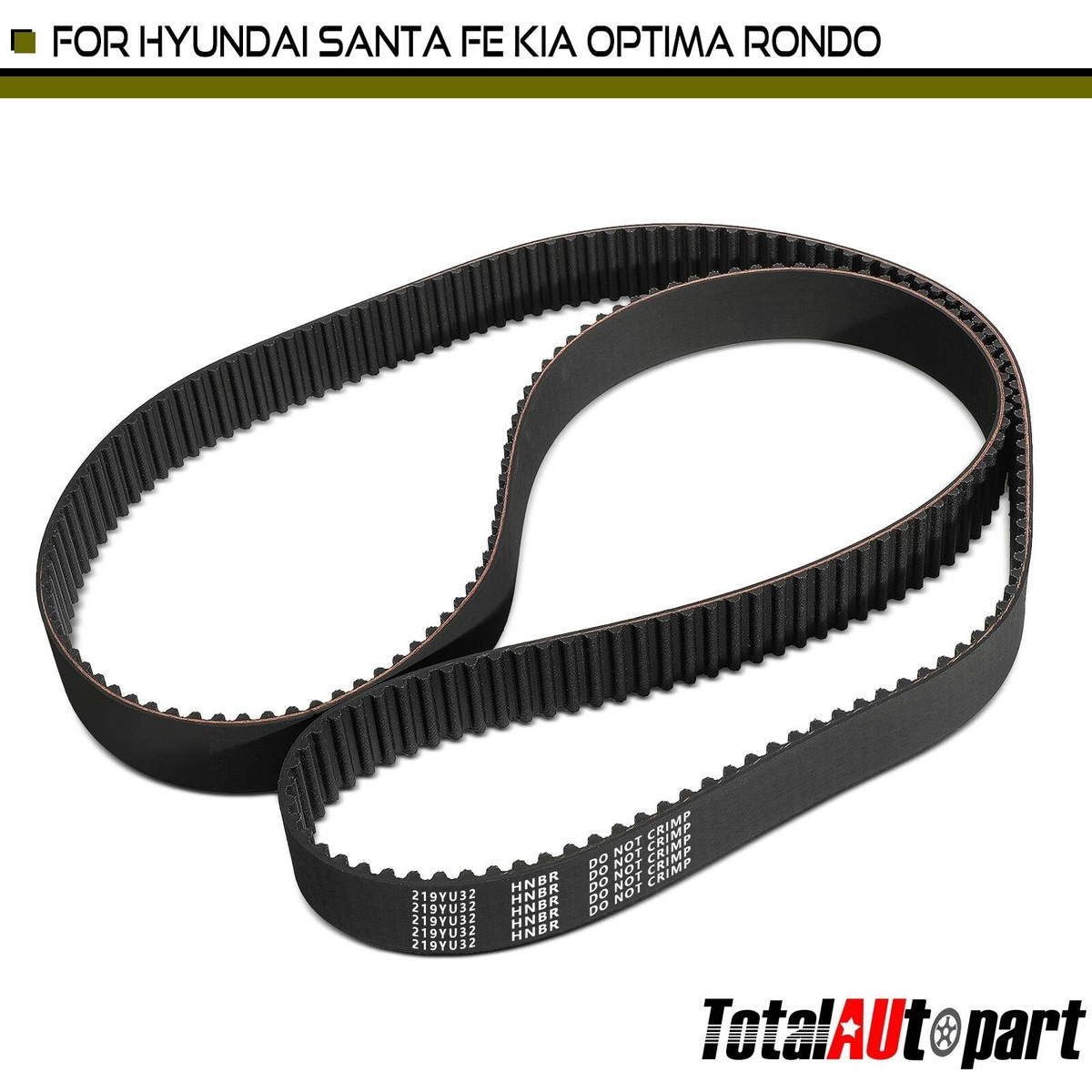 Correa De Distribución Timing Belt Kit For Kia/Hyundai V6