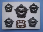 WW 2 Mounted Set of South African Air Force ( SAAF ) Bronzed Badges