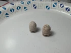 Dug Civil War era William  type 3 cleaner bullets
