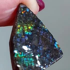 Ammolite  Ammonite   Coated Stone 25.5x17.2x3.5mm 6199