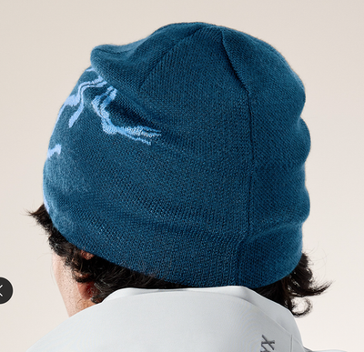 Arc'teryx Bird Head Toque Beanie, NIGHTSCAPE GLACIAL /25 FW 100