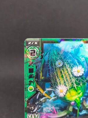 Z/X Zillions of enemy X TCG Nippon Ichi Software B09-081 R From