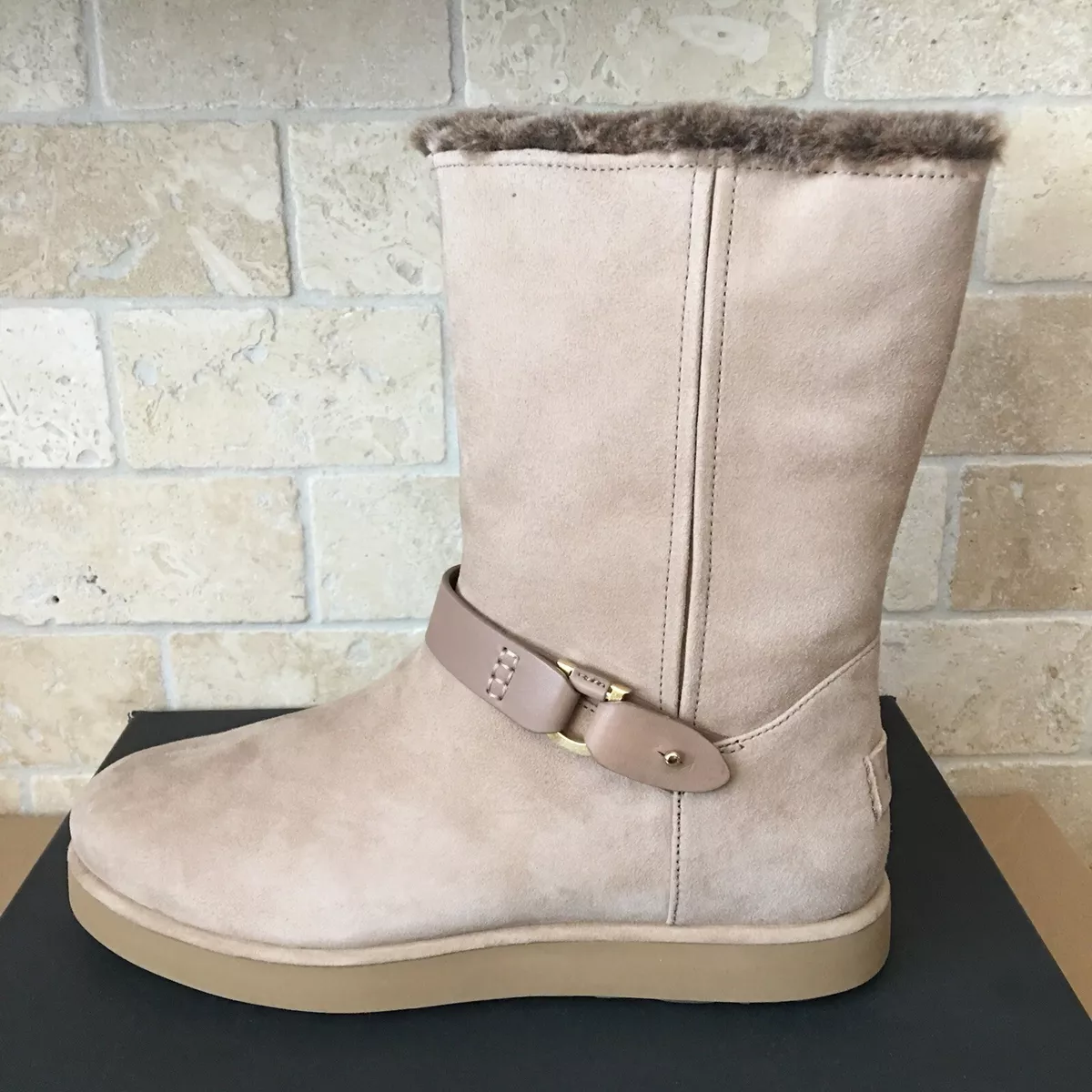 Ugg tasman amphora outlet
