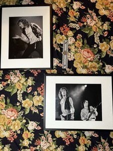 Two Robert Plant Concert Photographs Only (Frames Free)