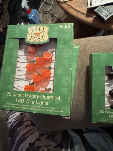 Fall Fest Brand (3) Boxes Of Apple LED Wire Lights And 1 Box Of Acorn Lights - Picture 2 of 7