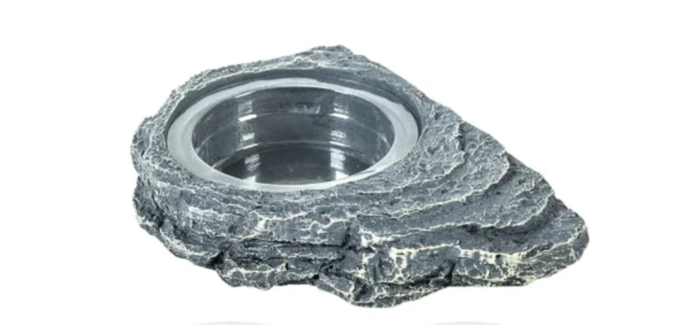 Reptizoo Reptile Magnetic Feeder Ledge Arboreal Water Food Dish Gecko Magnet