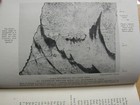 Picture 17 of 22