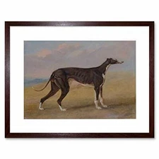 Painting Animal Sport Garrard George Fox Greyhound Turk Framed Wall Art Print