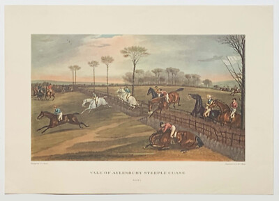 Vale of Aylesbury Steeple Chase Plate 3 Reproduktionsdruck