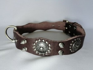 tough looking dog collars