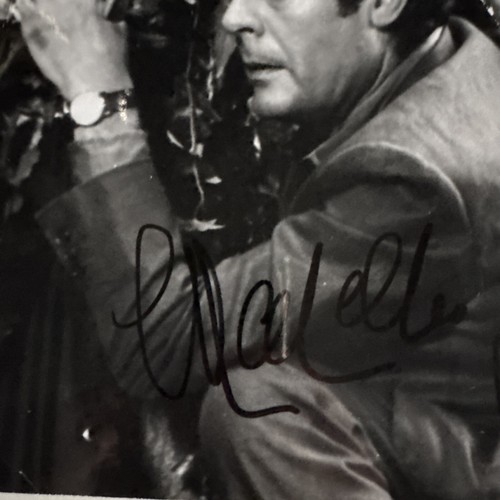 MARCELLO MASTROIANNI signed 8x10 Original photo Autograph - Picture 4 of 7