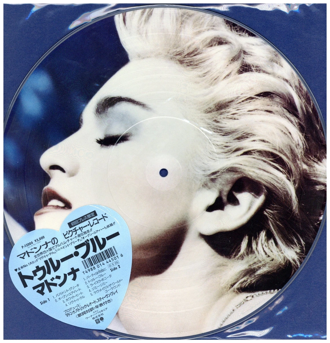 ピクチャーレコード(マドンナ)rain MADONNA(LP) RAIN 【ピクチャー盤！】 -DJ機材アナログレコード