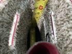 Bild 9 von 11