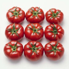 25 Semillas De Tomates, Maravillas Del Mercado: Permacultura Semisalvaje-image
