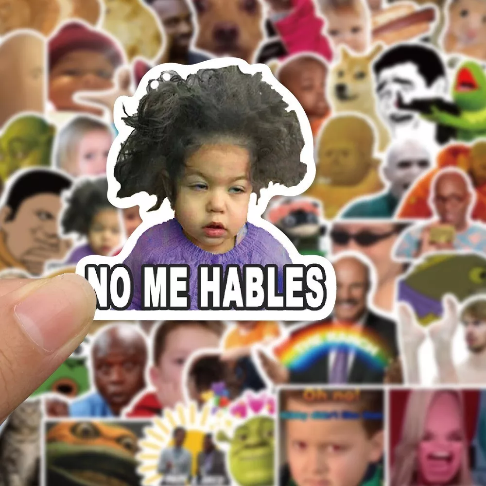 Imagen 6 de 14