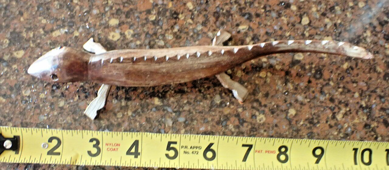 Wooden, hand carved gecko from Trobriand Islands