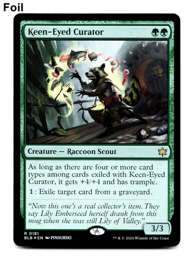 Keen Eyed Curator - FOIL - MTG Bloomburrow 🌳