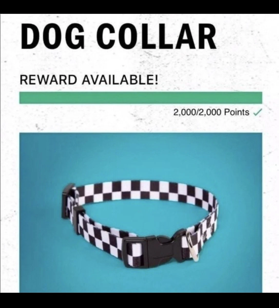Vans family dog clearance collar
