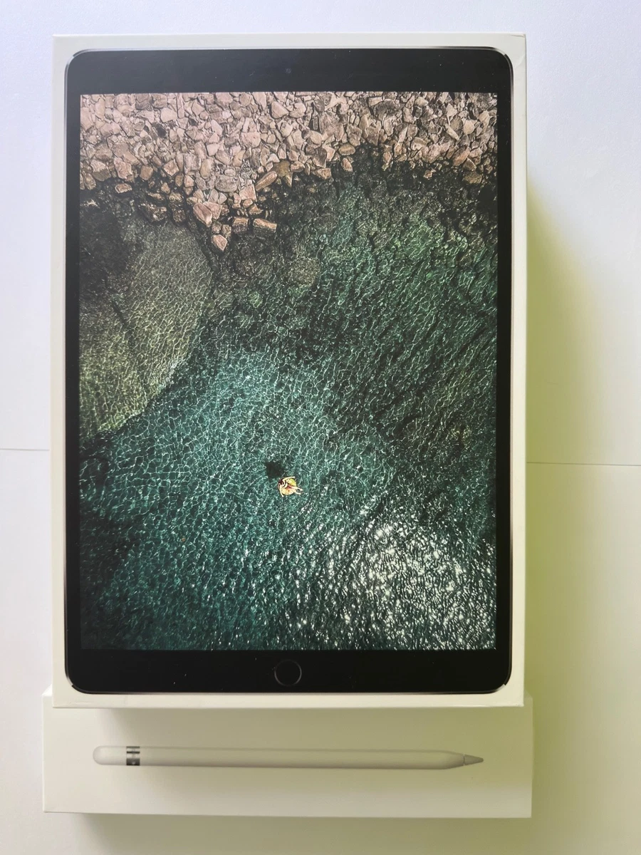 Ipad pro 10 5 online kaufen | eBay.de