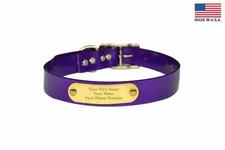 Warner Sporting Dayglo Regular Dog Collar (1"wide) with free Brass ID tag USA