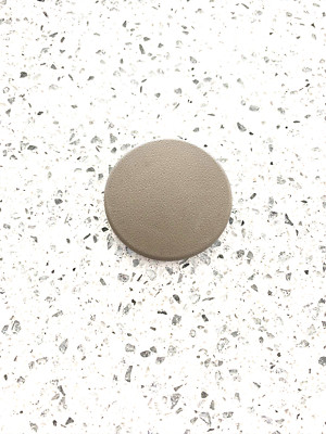 2005-2010 Toyota Sienna Seat Armrest Bolt Upholstery Clip PLUG CAP Cover