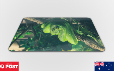 MOUSE PAD DESK MAT ANTI-SLIP|SNAKE HANGING ON TREE BRANCH 1 | eBay ...