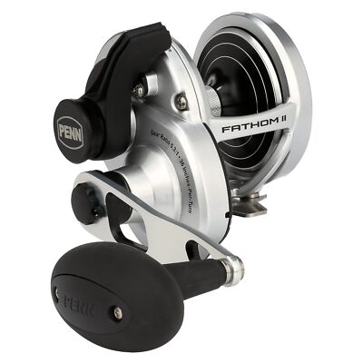 PENN International Baitcastrolle FATHOM II 25NLD rechts 5,3:1 Angeln IN BOX