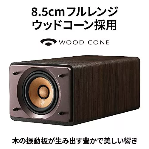 JVC KENWOOD EX-S55-T Wood cone series Bluetooth installed High