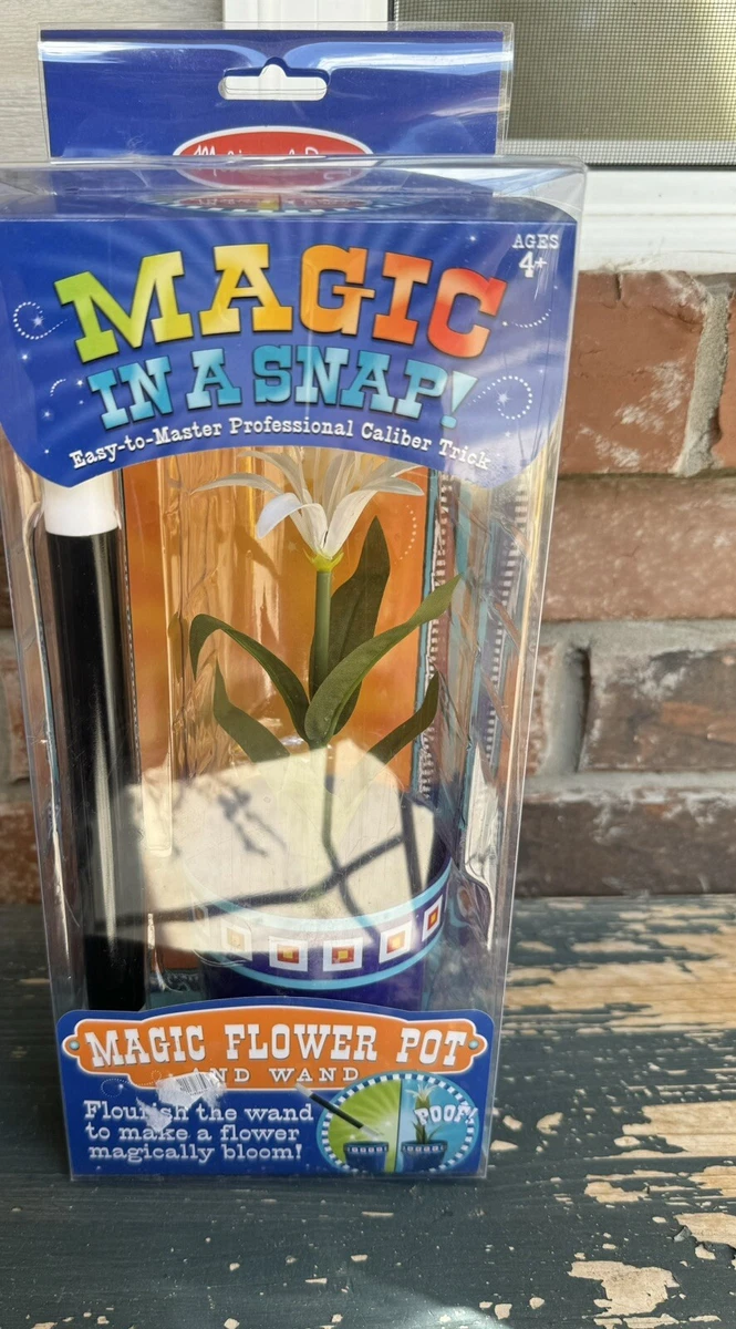 Melissa and doug magic in sale a snap