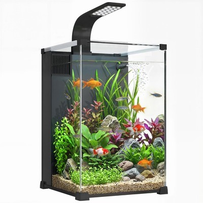 Aquarium Komplettset 36L Nano Aquarium mit LED-Beleuchtung Filtersystem Pumpe