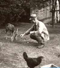54/877 FOTO ALTE ZEITEN REH HUHN MANN MIT HUT - NACHBARSCHAFTSHILFE LANDIDYLL