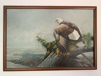Atemberaubendes großes Gemälde eines Weißkopfseeadlers auf Leinwand im Stil von Robert Bateman