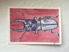 ACEO Original, Purple Stag Beetle, Watercolor Mini Painting 3.5in by 2.5in Art. — photo 1
